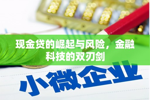 彬县现金贷的崛起与风险，金融科技的双刃剑