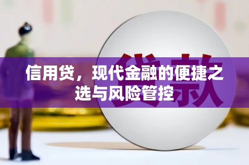 彬县信用贷，现代金融的便捷之选与风险管控