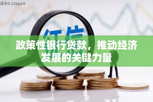 彬县政策性银行贷款，推动经济发展的关键力量