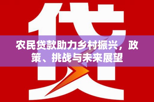 彬县农民贷款助力乡村振兴，政策、挑战与未来展望