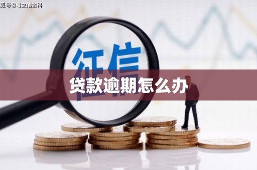 彬县贷款逾期怎么办