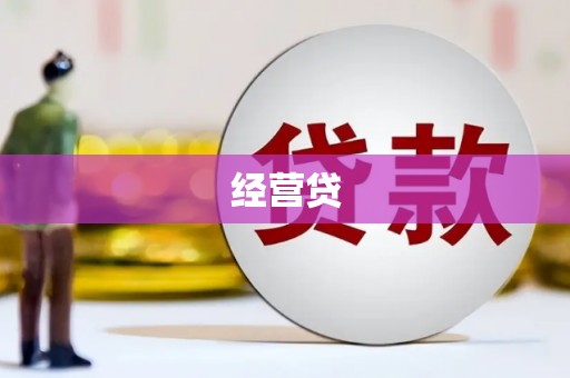 彬县经营贷