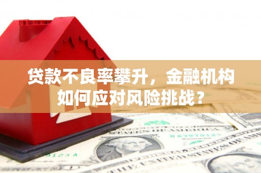 彬县贷款不良率攀升，金融机构如何应对风险挑战？