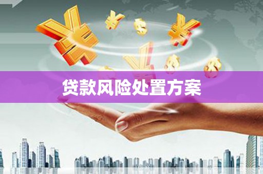 彬县贷款风险处置方案