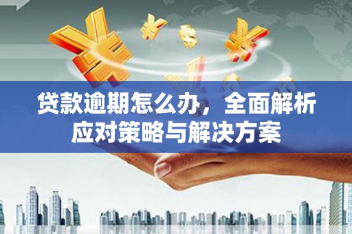 彬县贷款逾期怎么办，全面解析应对策略与解决方案