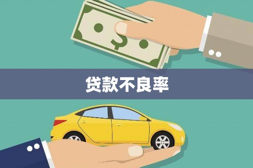 彬县贷款不良率