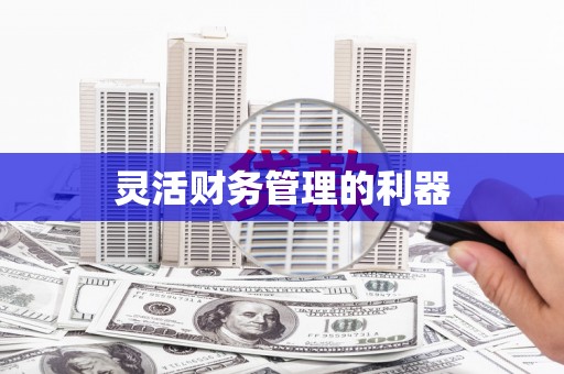 彬县灵活财务管理的利器