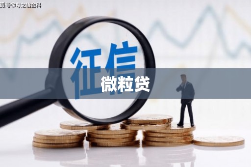 彬县微粒贷