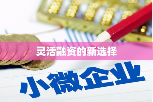 彬县灵活融资的新选择