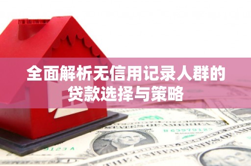 彬县全面解析无信用记录人群的贷款选择与策略
