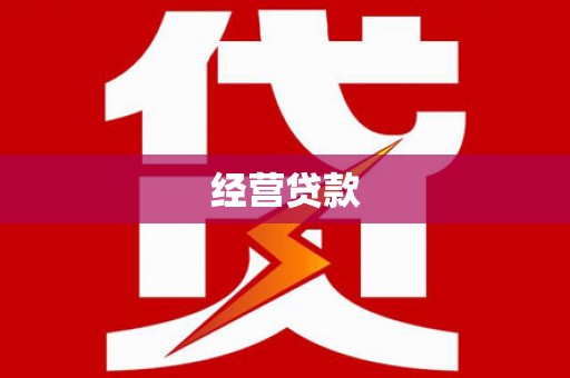 彬县经营贷款